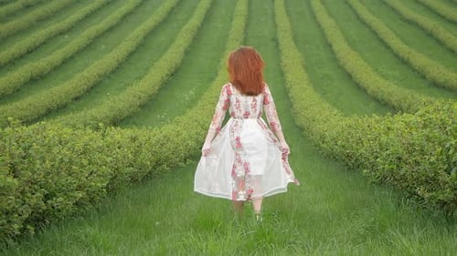 Happy woman walking in the green field