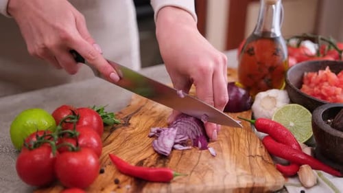 Person Chopping Red Onion for a Recipe