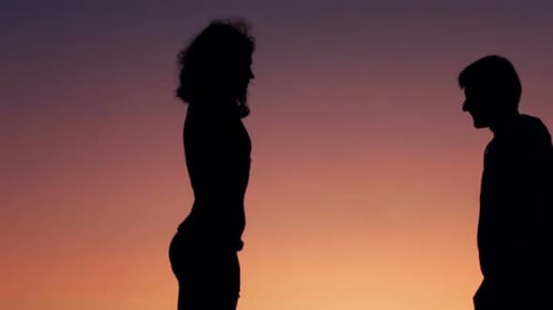 Romantic Couple Embracing at Sunset Silhouette