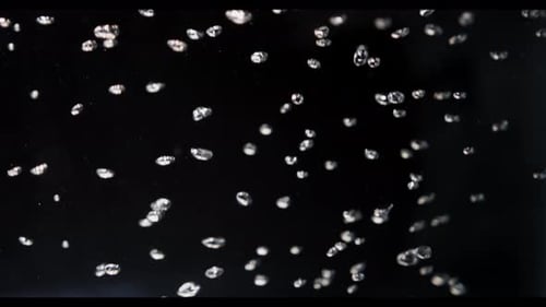 Water bubbles