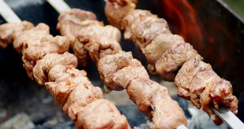 Meat Cooking on Skewers Over Open Flame