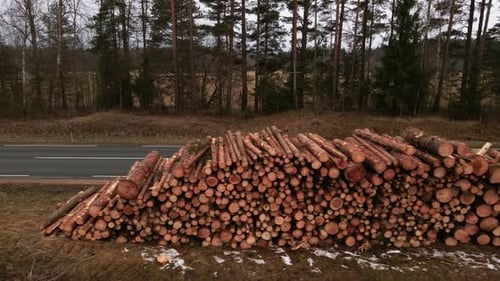 Aerial Panning Flight Near Stacked Pile of Log or Lumber Ready for Harvesting in Forest Near Road