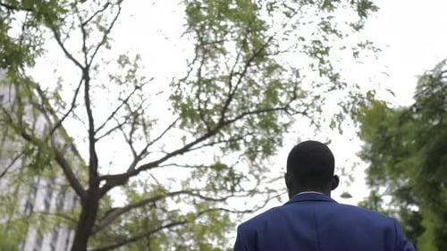 Rear view of businessman walking in city