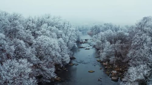 Winterwald, Fluss. Luftaufnahme der wilden Flusslandschaft des Winterwaldes