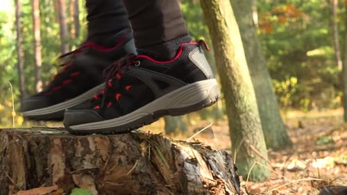 A Hiking Couple Steps on a Stump in a Forest and Walks on - Closeup on the Stump