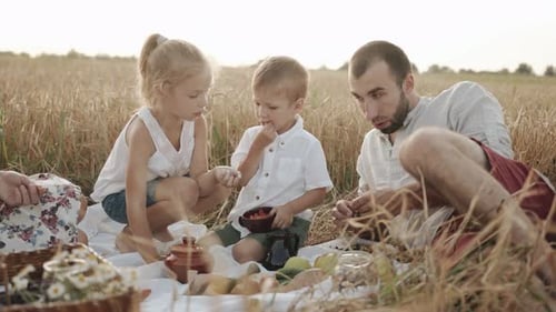 Happy Young Family with Daughter and Son on a Picnic in a Wheat Field Eating and Talking