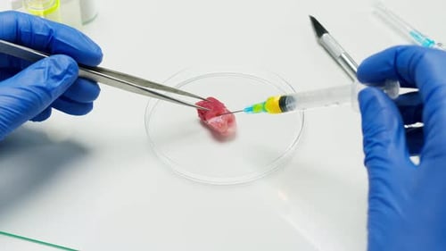 Raw Meat Sample Injection in Laboratory Setting