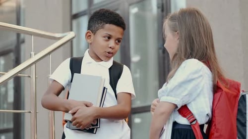 Two Schoolchildren Stand with Books Near School and Talking