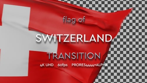 Realistic Waving Flag Reveal Transition