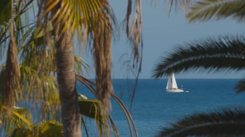 A white sail in a blue sea