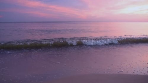 Sea
