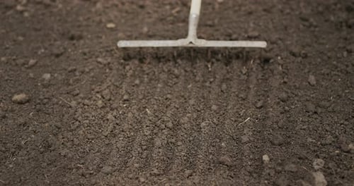Farmer Leveling the Ground with a Rake in the Garden Preparing for Planting