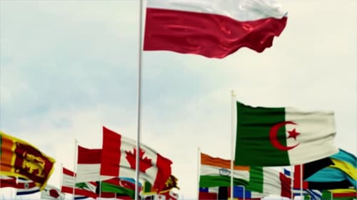 Waving Flags Reveal Single National Flag