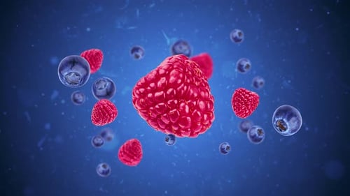 3D Animation of Floating Raspberries and Blueberries