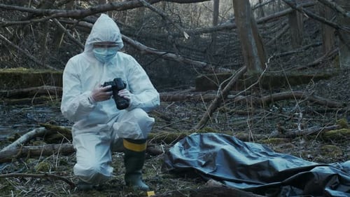Forensic specialists working in the forest. Crime scene and police concept.