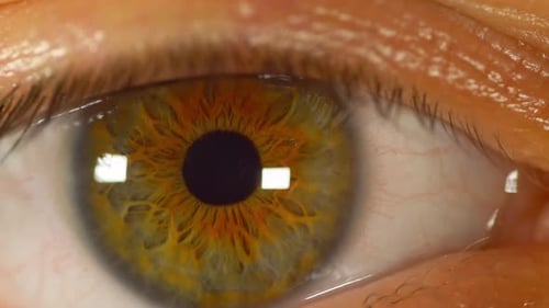 Extreme Close Up of Detailed Human Eye