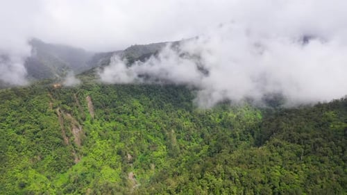 Mountains with Rainforest and Clouds