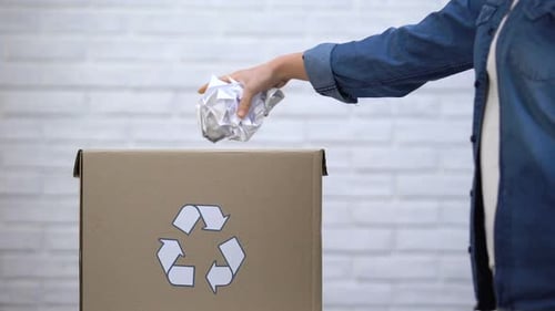 Hand Dropping Crumpled Paper into Recycling Box