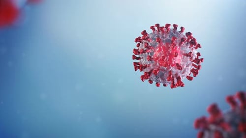 3D Animation of a Rotating Coronavirus Particle