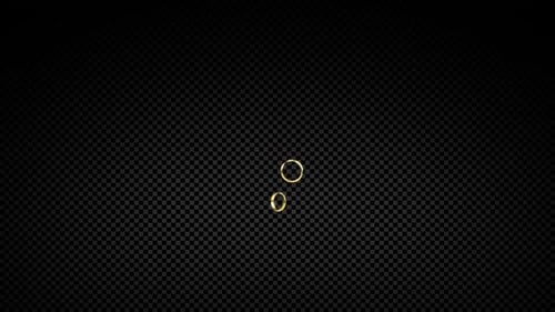 Two Wedding Rings