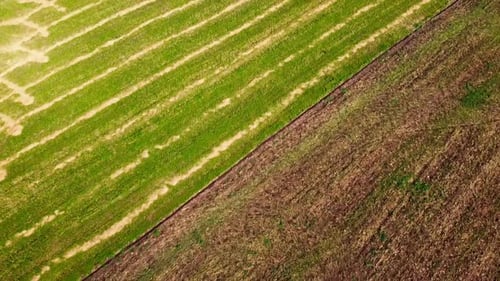 Drohnenaufnahme eines Fluges über die ländliche Agrarlandschaft.