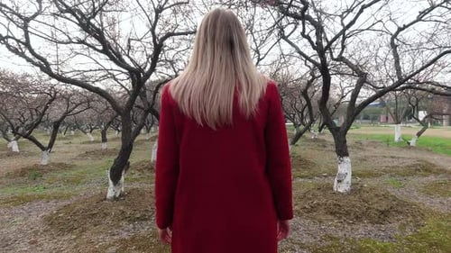 Woman in Red Coat Walking in Orchard