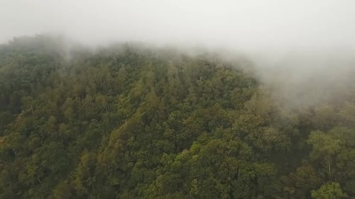 Regenwaldwolke Bali Indonesien