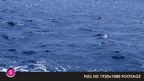 Water Waves 11
