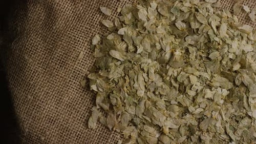 dose rotativa de cevada e outros ingredientes de fabricação de cerveja - BEER BREWING