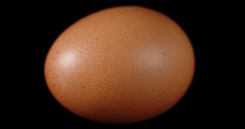 Rotating Raw Brown Egg on Black Background