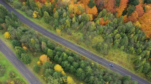 Aerial View Of Mountain Road At The Autumn Forest