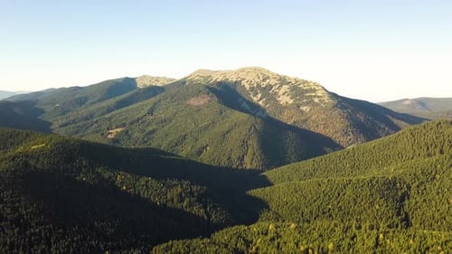 Aerial view of autumn mountain landscape with evergreen pine trees and yellow fall forest with