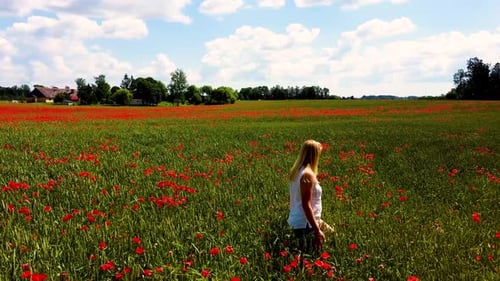 Young Blonde Woman is Walking Through a Poppies Field Feeling Happy. Field of the Red Flower Poppy