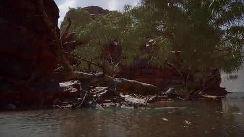 Reflection in Colorado River in Grand Canyon