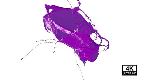 Collision Of Streaming Purple Paint Splash V4
