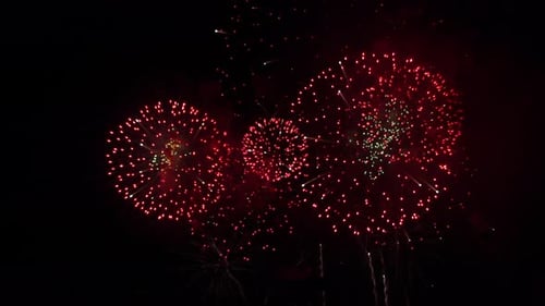 Colorful Fireworks Exploding in the Night Sky