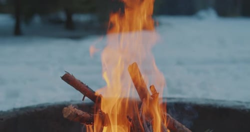 Bonfire in the Winter Forest in Slowmotion