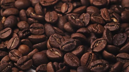 Pile of Rich Roasted Coffee Beans