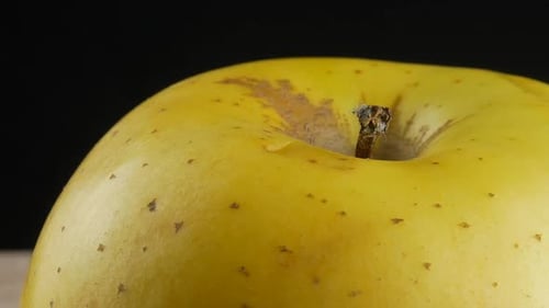 Ripe yellow apple close up