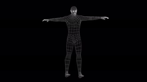 Hologram Human Alpha 4K Loop