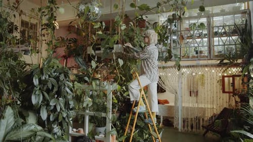 Female Florists Cleaning Plant Leaves and Using Laptop in Flower Shop
