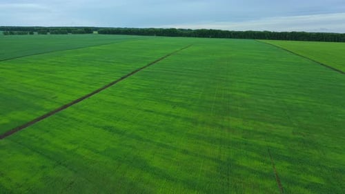 Aerial View of Agriculture Field in Countryside.