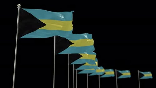 Waving Bahamian Flags in Realistic 3D Animation