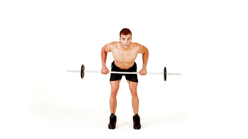 Handsome Muscular Man Doing Exercises