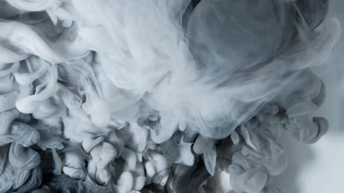 Black White Paint Mixed on White Background Clouds of Paint