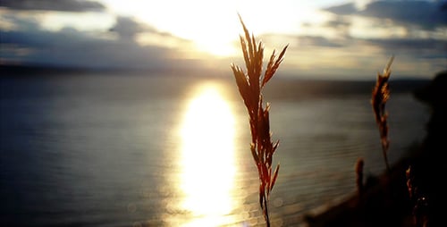 Coucher de soleil sur la rivière 5