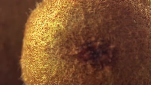 Macro Close-Up of Fresh Sliced Kiwi Fruit
