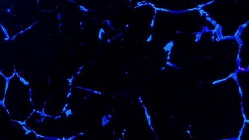 Abstract Blue Neon Electrical Energy Background Loop