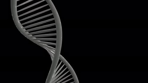 DNA