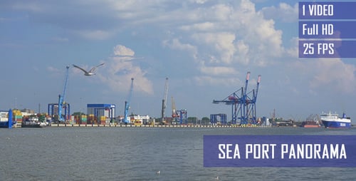 Sea Port Docks And Seagulls